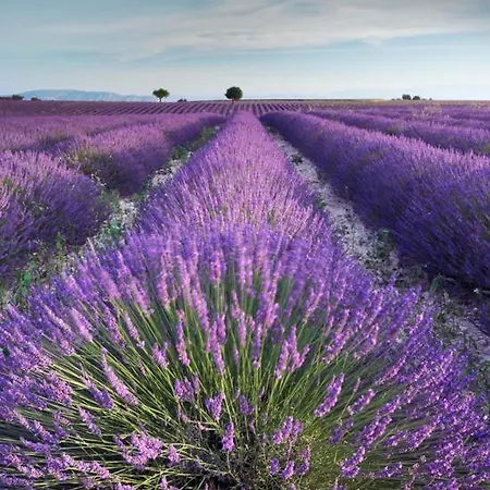 Mont Ventoux Et Vip Camaret-sur-Aigues